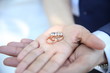 © olcay - wedding photography düğün fotoğrafları