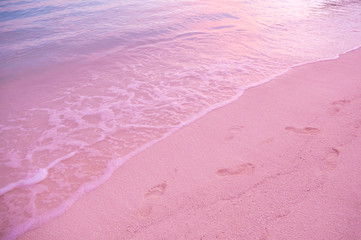  Pink sand beach on Harbour Island, Bahamas. Bahamas Pink sand beach. Amazing tropical beach in Caribbean with pink sand clear ocean water. Wave and footprints at sunset time. Footprints on beach sand