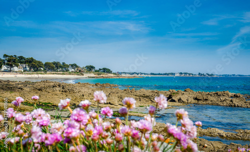 Plage de Carnac rochers et fleurs, Morbihan, Bretagne, France Fototapeta