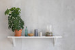 Small shelf with flowerpot and simple decor on gray wall.