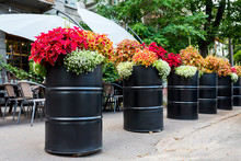 Metal Barrels With Flowers For Decoration