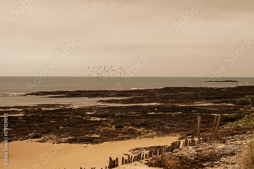 Zdjęcie XXL Plaża w Normandii pod ophelia huraganu