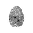 vector illustration of a magnifying glass over a fingerprint