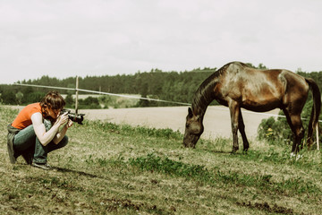 Poster - Man taking photo of brown wild horse