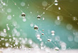 © Carolyn Lagattuta/Stocksy - Droplets suspended in a web after a light rain