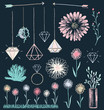 Succulent Flowers and Crystals Chalk Drawing Vector Set