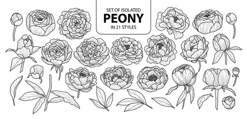 Set of isolated peony in 21 styles. Cute hand drawn flower vector illustration in black outline and white plane.