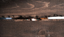 Girl Peeping Through Wood