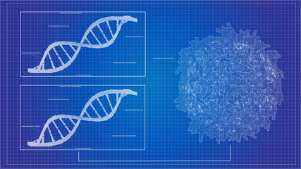 Wall Mural - Blueprint concept of cancer cell lymphocyte T and DNA helix background sequencing data analysis