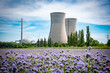 Atomkraftwerk inmitten einer Blumenwiese