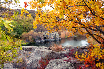 Wall Mural - Mountain lake peers through the yellow foliage