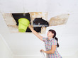© volkovslava - Young Woman Collecting Water In Bucket From Ceiling. Ceiling panels damaged huge hole in roof from rainwater leakage.Water damaged ceiling .
