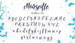 Handwritten calligraphy font. Vector alphabet. Hand drawn letters