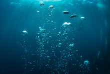 Underwater Shot Of Blue Ocean Water, Air Bubbles Closeup, Sunbeams On Water Surface, Some Scubadivers In Deep