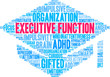 Executive Function Word Cloud on a white background. 