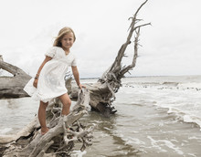 Girl Posing On Driftwood At Beach