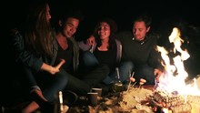 Side View Of Diverse Group Of People Sitting Together By The Fire Late At Night And Embracing Each Other, Cooking Sausages And Drinking Beer. Cheerful Friends Talking And Having Fun Together