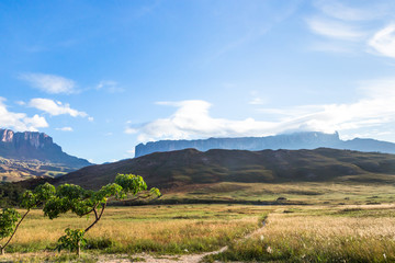 Wall Mural - Mount Roraima, Venezuela, South America.