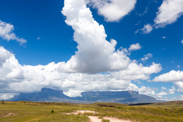 Wall Mural - Monte Roraima, Venezuela, America do Sul.