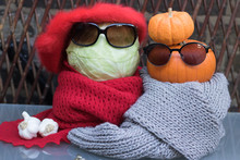 Fashionable Vegetables Are On Your Table In Autumn Season. Mr Cabbage And His Lady Wife Ms Pumpkin Wear Warm Clothes & Sunglasses. Concept: Healthy Diet & Fun Gardening.