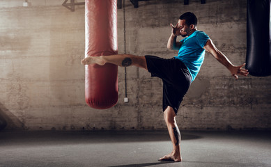 Wall Mural - Boxing Workout