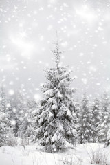 Sticker - Christmas background with snowy fir trees