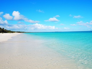 Canvas Print - new caledonia