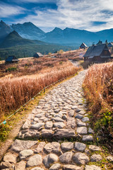 Wall Mural - Beautiful path to the Tatras at sunset in Poland