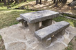 © luismicss - stone table and benches in the middle of a pine forest