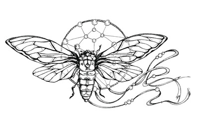 insect on the catcher of dreams