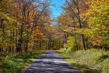 Wall Mural - Autumn colors near Spruce Knob, located in the Allegheny Highlands of West Virginia, USA