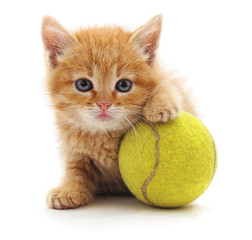 Sticker - Kitten and ball.