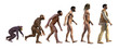 human evolution, 3d rendering