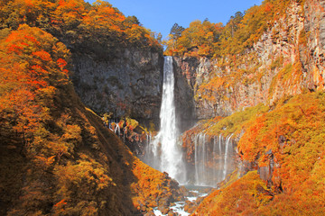 Wall Mural - Kegon Falls in Autumn Season ,Nikko ,Japan.