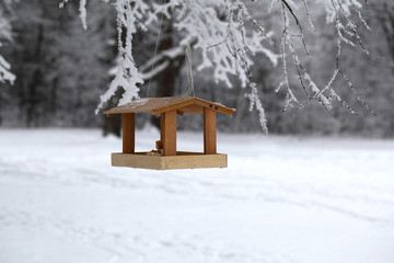 A bird feeder hangs on a tree on a winter frosty day. Texture of white snow.