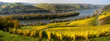 Rheinsteig Panorama bei Lorch im Herbst