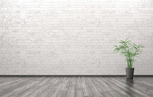 Empty Interior With Plant 3d Rendering