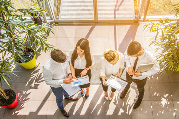 Wall Mural - High angle view of business people working with document in office hall.