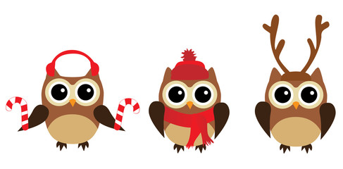 Wall Mural - Vector Fun Owls