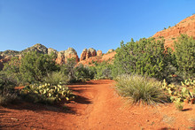 Hiking Among Red Rock Formations In Red Rock State Park Along Oak Creek Canyon, A Riparian Habitat In Verde Valley, Within Yavapai County, Sedona, Arizona, USA Including Coconino National Forest.