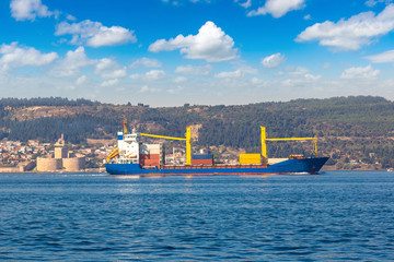 Wall Mural - Container ship in Dardanelles strait, Turkey