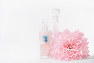 Wall Mural - cosmetic and perfume bottles with pink pale flower on white background, front view. beauty and skin 