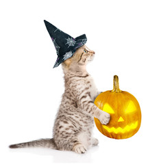 Canvas Print - Kitten with hat for halloween and pumpkin standing in profile. isolated on white background