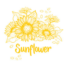 Sunflower. Sunflower Card Design. Vector Illustration
