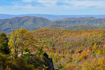 Wall Mural - Autumn scene along Skyline Drive in Shenandoah National Park, Virginia