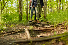 Two Women Hiking Along A Forest Footpath