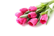Bouquet Of Pink Tulips Isolated On A White