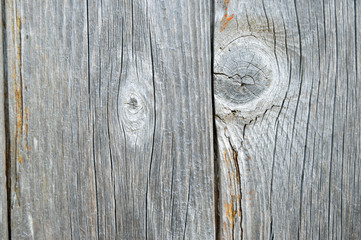 Wall Mural - old wooden planks