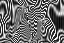 Abstract Pattern Of Wavy Stripes And Twisted Curved Ripple Lines Background. Vector Modern Trendy Black And White Curves Or Geometric Zebra Backdrop