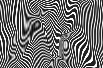 Wall Mural - Abstract pattern of wavy stripes and twisted curved ripple lines background. Vector modern trendy black and white curves or geometric zebra backdrop
